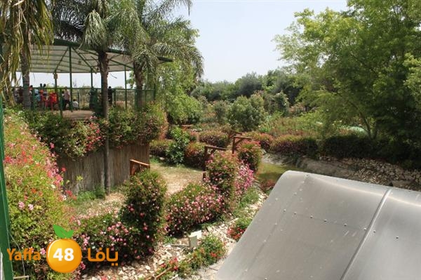 re7la mo2asaasa 0521 (25).JPG